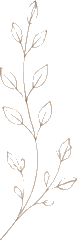 Décor végétal
