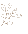 Décor végétal