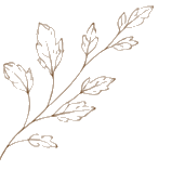 Décor végétal